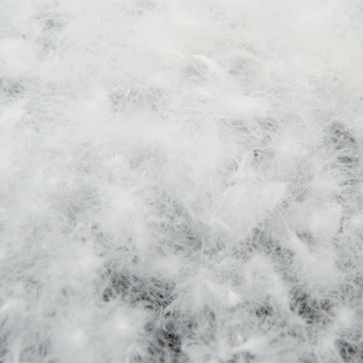 vidaXL 90% ganzen dons dekbedset FULDA 2 st 135 x 200 cm Winter Wit