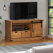 vidaXL Tv-meubel HALDEN met schuifdeur wit 110x40x60 cm massief hout