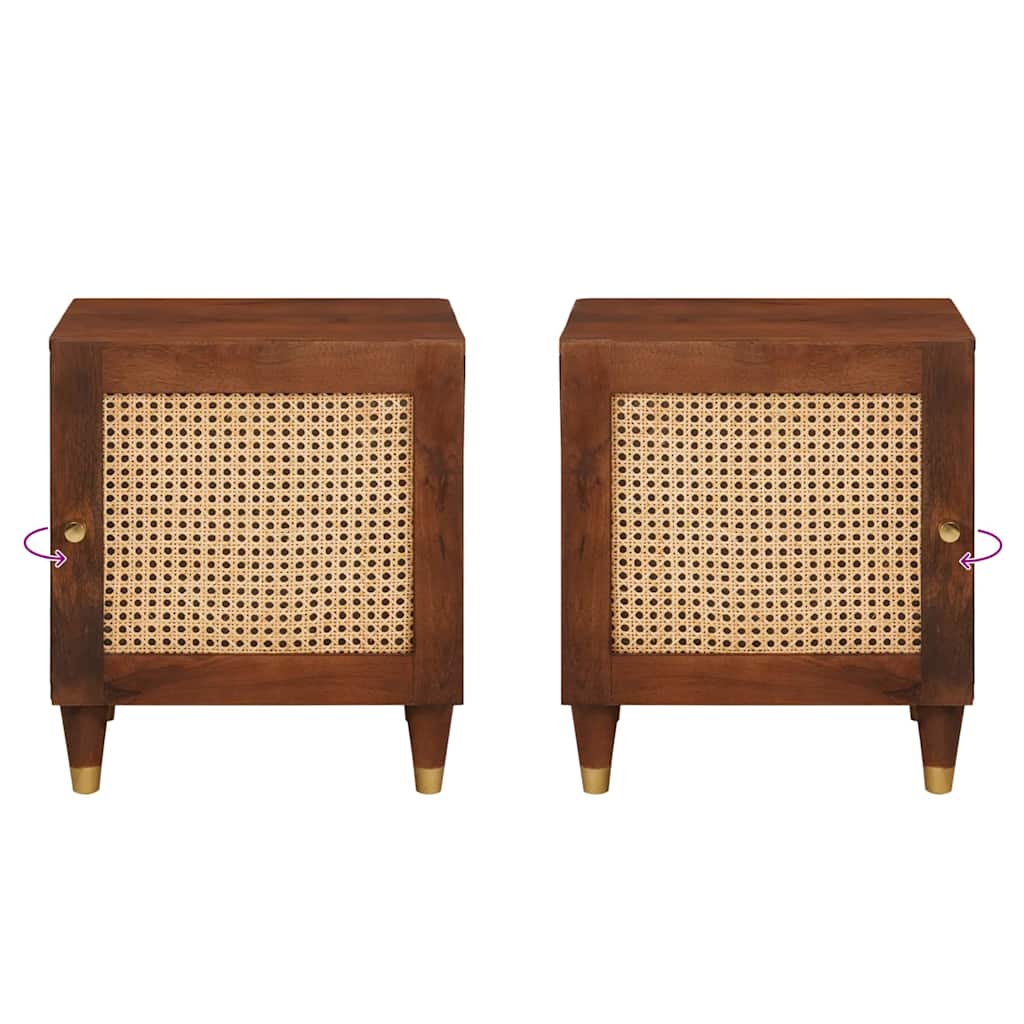 vidaXL Nachtkastjes Massief mango hout en engineered hout