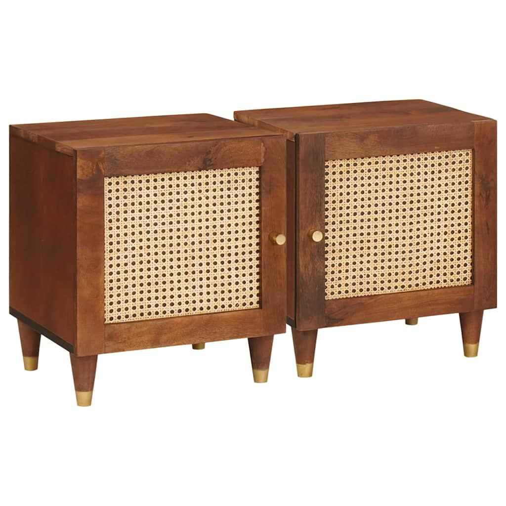 vidaXL Nachtkastjes Massief mango hout en engineered hout