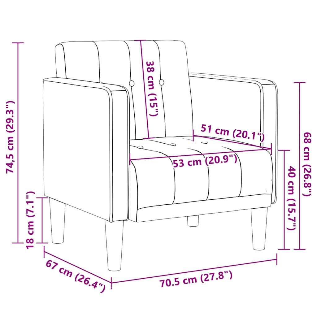 vidaXL Fauteuil met armleuningen Lichtgrijs 53 cm Fluweel
