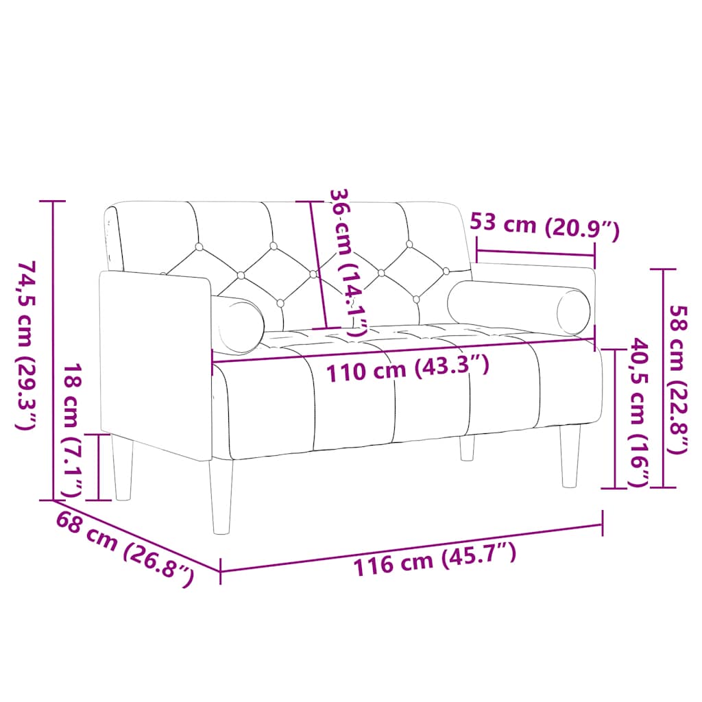 vidaXL Loveseat bank met bolsters kussens lichtgrijs 110 cm fluweel