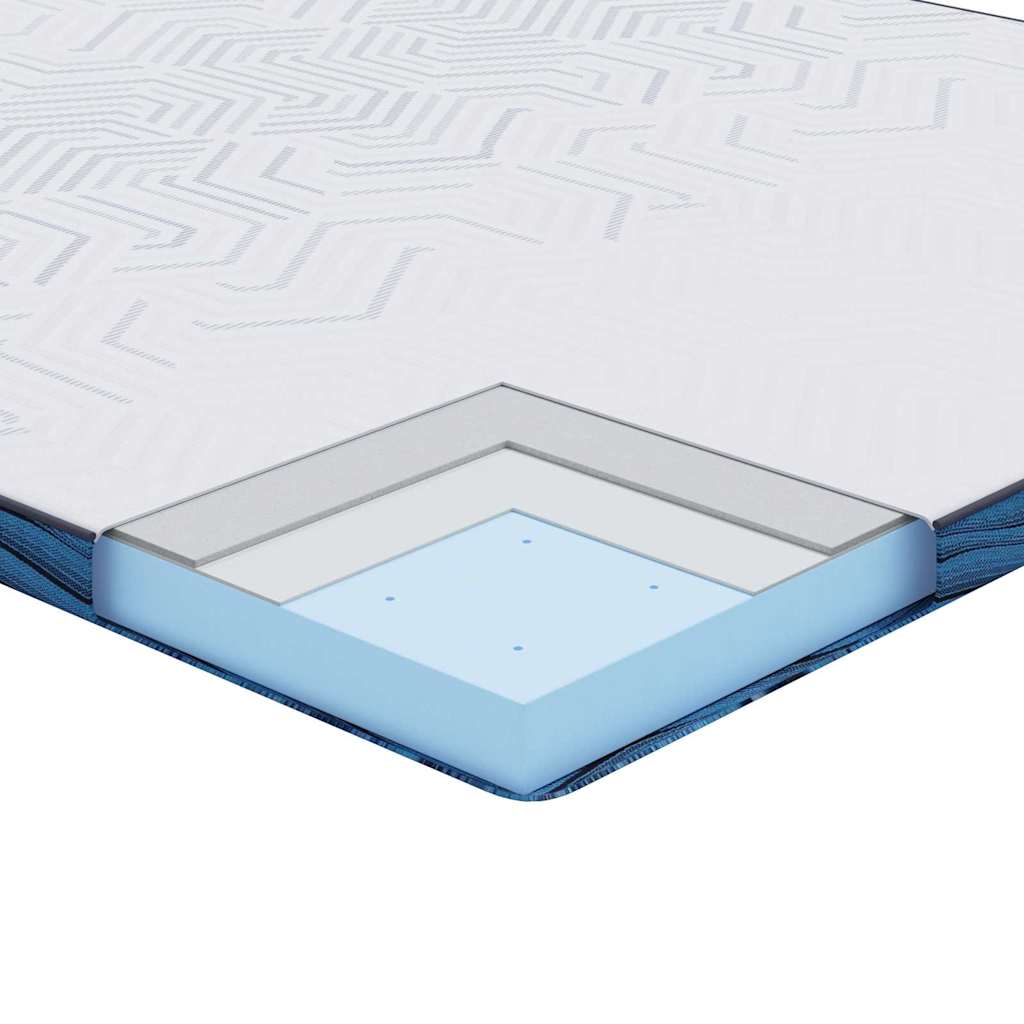 vidaXL Matraspads Wit en Blauw 70 x 200 cm