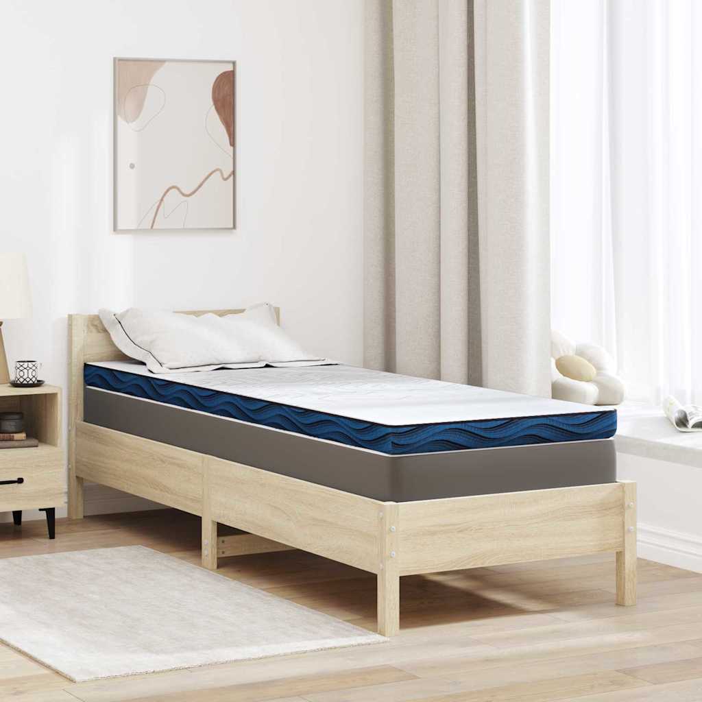 vidaXL Matraspads Wit en Blauw 70 x 200 cm