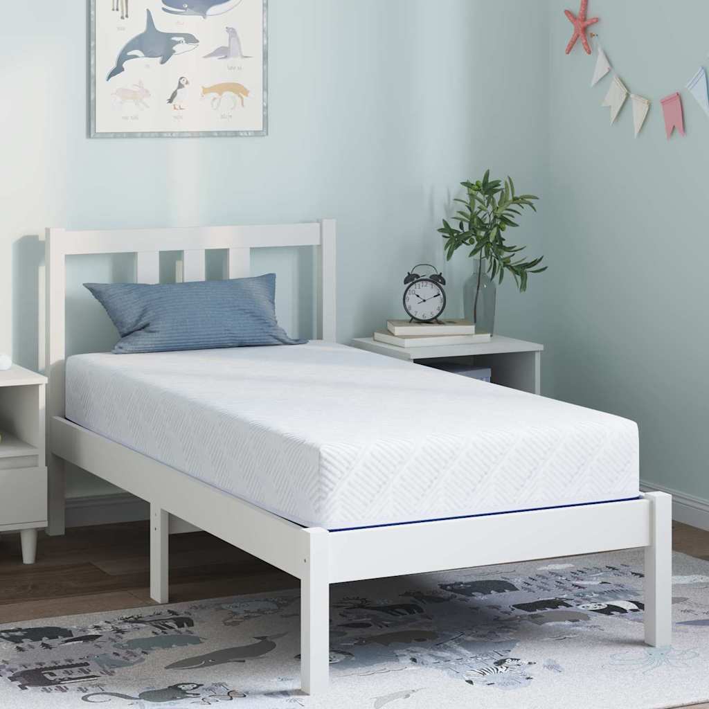 vidaXL Matras Wit, Blauw 80 x 160 cm Schuim