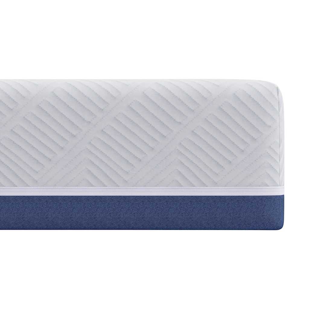 vidaXL Matras Wit, Blauw 80 x 160 cm Schuim