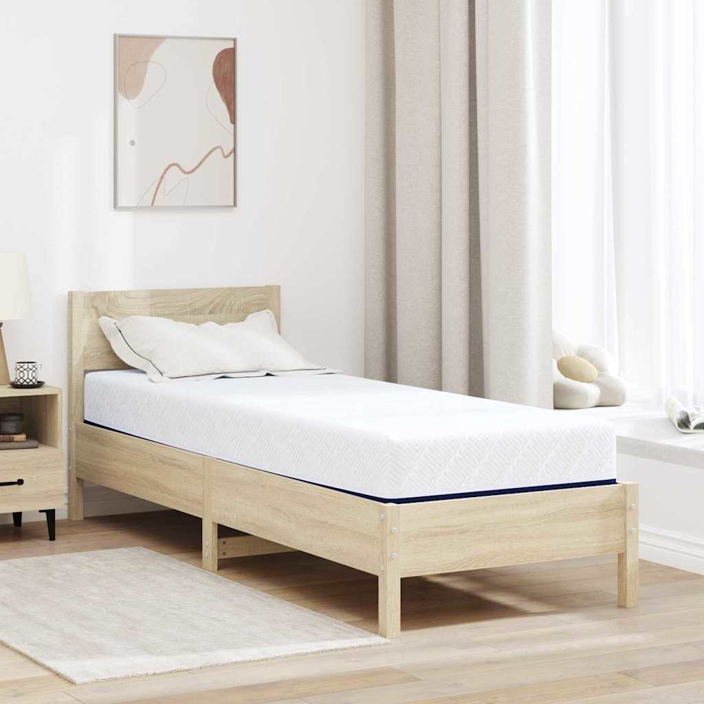 vidaXL Matras Wit, Blauw 80 x 160 cm Schuim