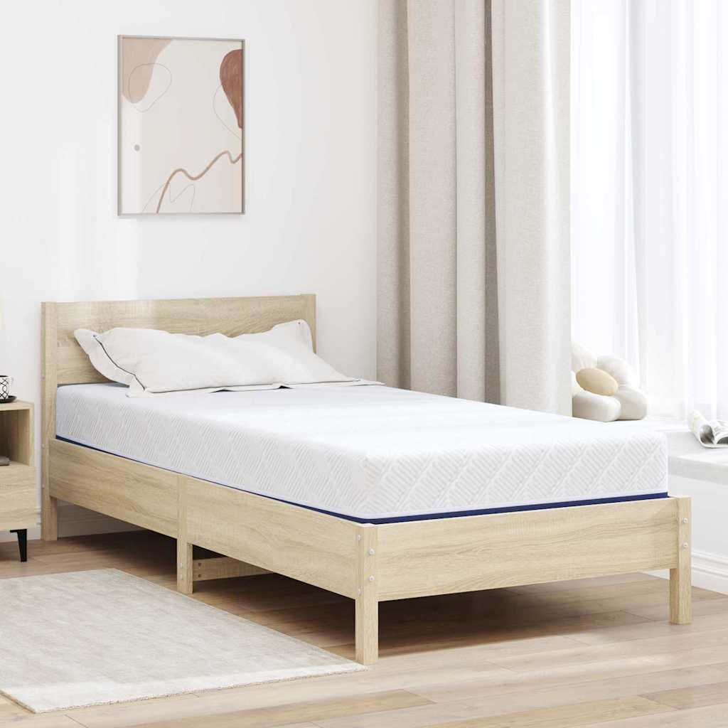 vidaXL Matras Wit, Blauw 80 x 160 cm Schuim