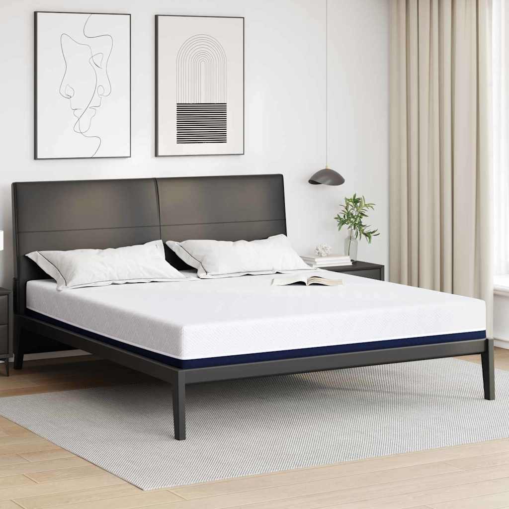 vidaXL Matras Wit, Blauw 80 x 160 cm Schuim