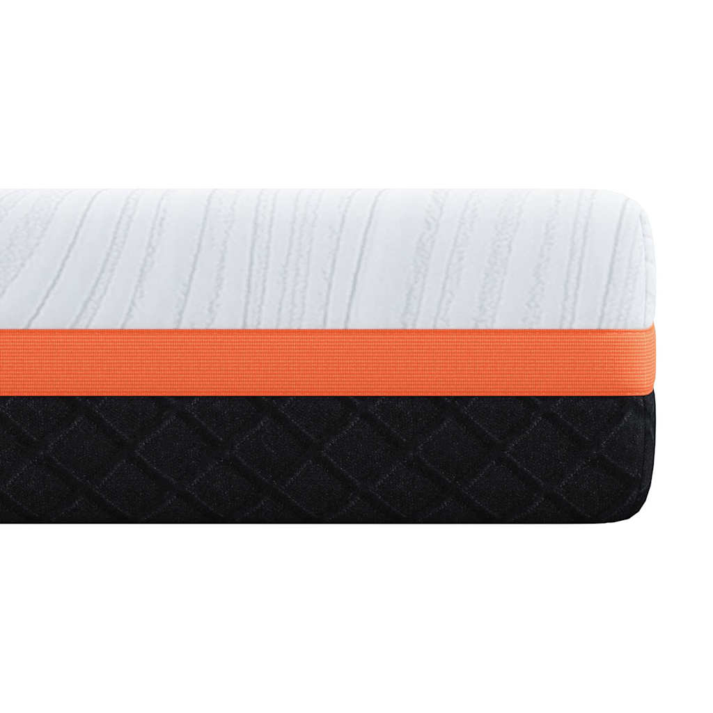 vidaXL Matras Wit, Grijs 80 x 160 cm Schuim
