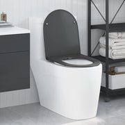 vidaXL Toiletbril soft-close met quick-release Duroplast antraciet