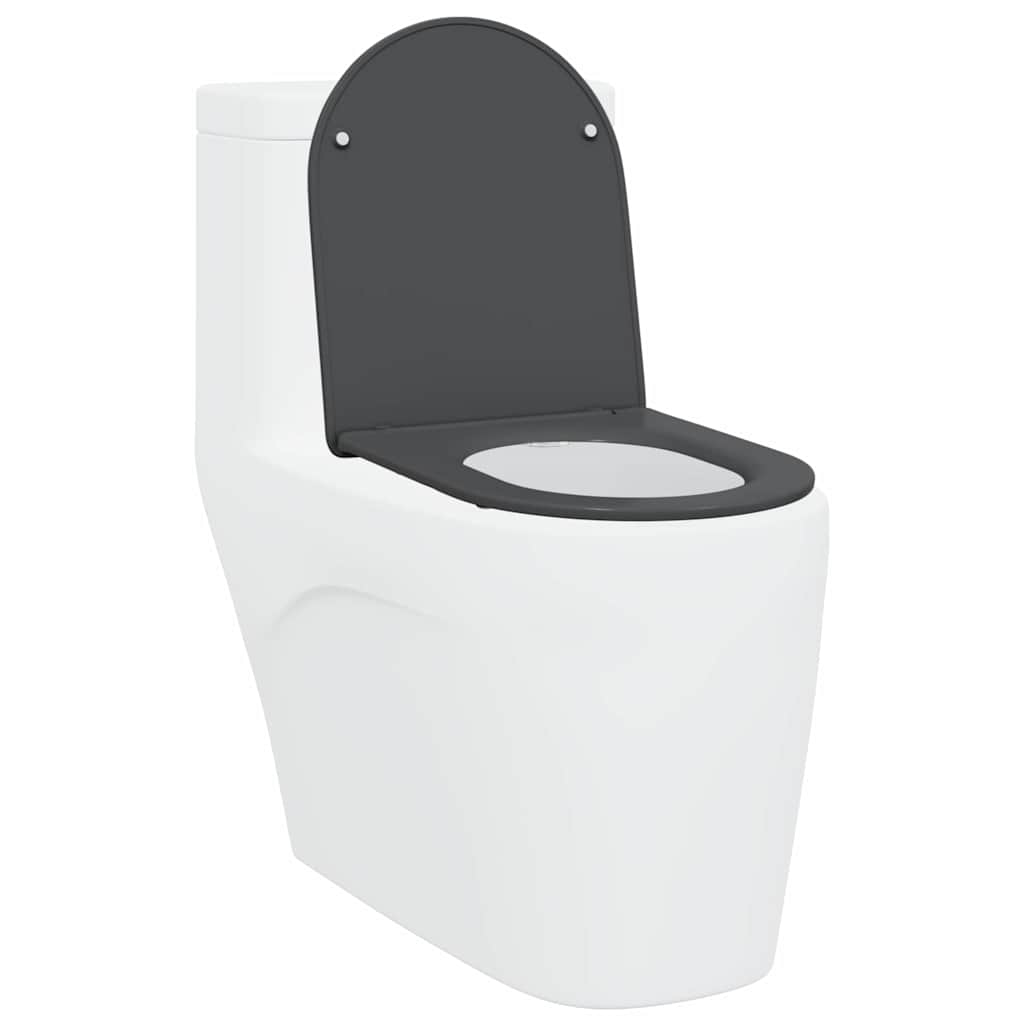 vidaXL Toiletbril soft-close met quick-release Duroplast antraciet