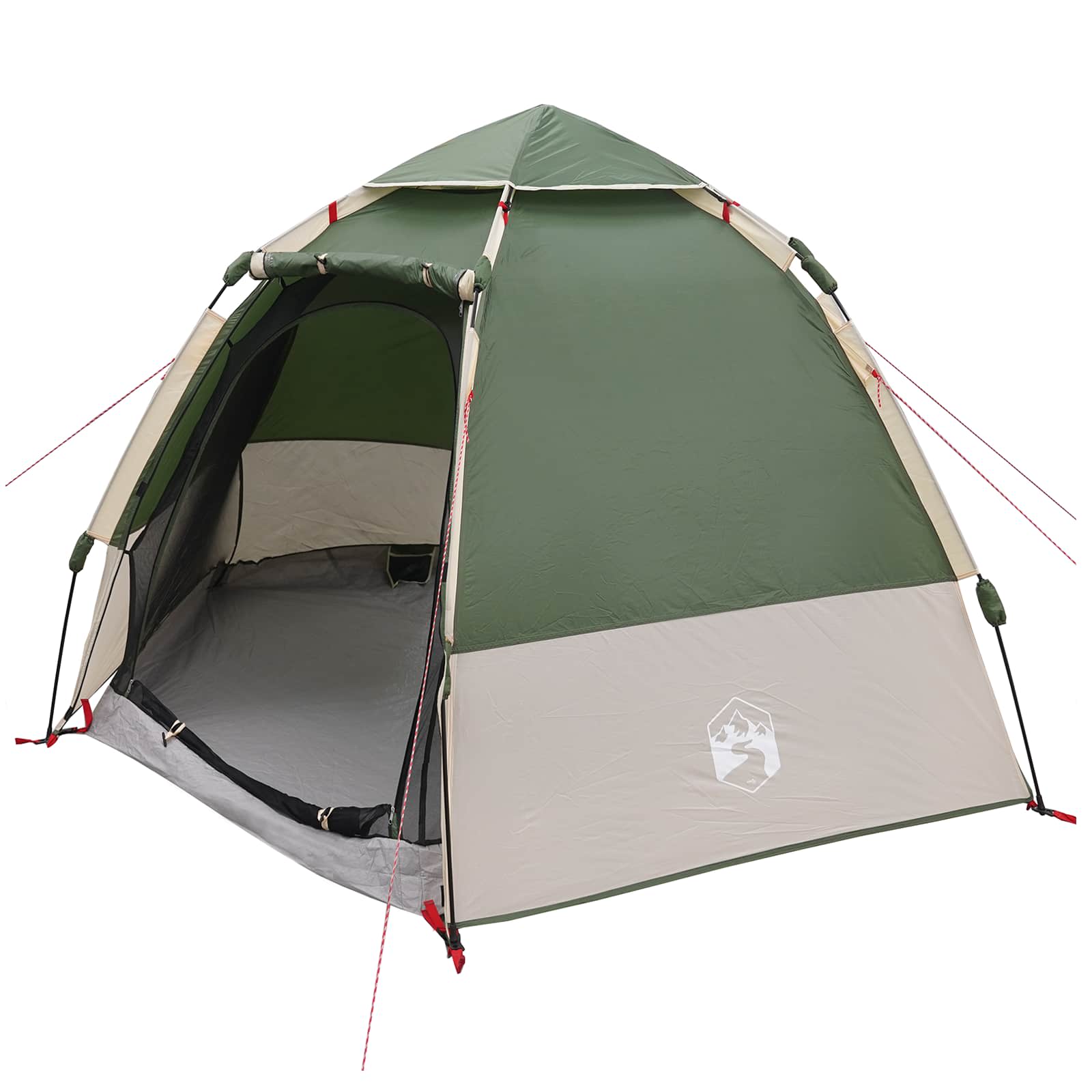 vidaXL Directe Tent met opslag Groen 280 x 280 x 160 cm Staal