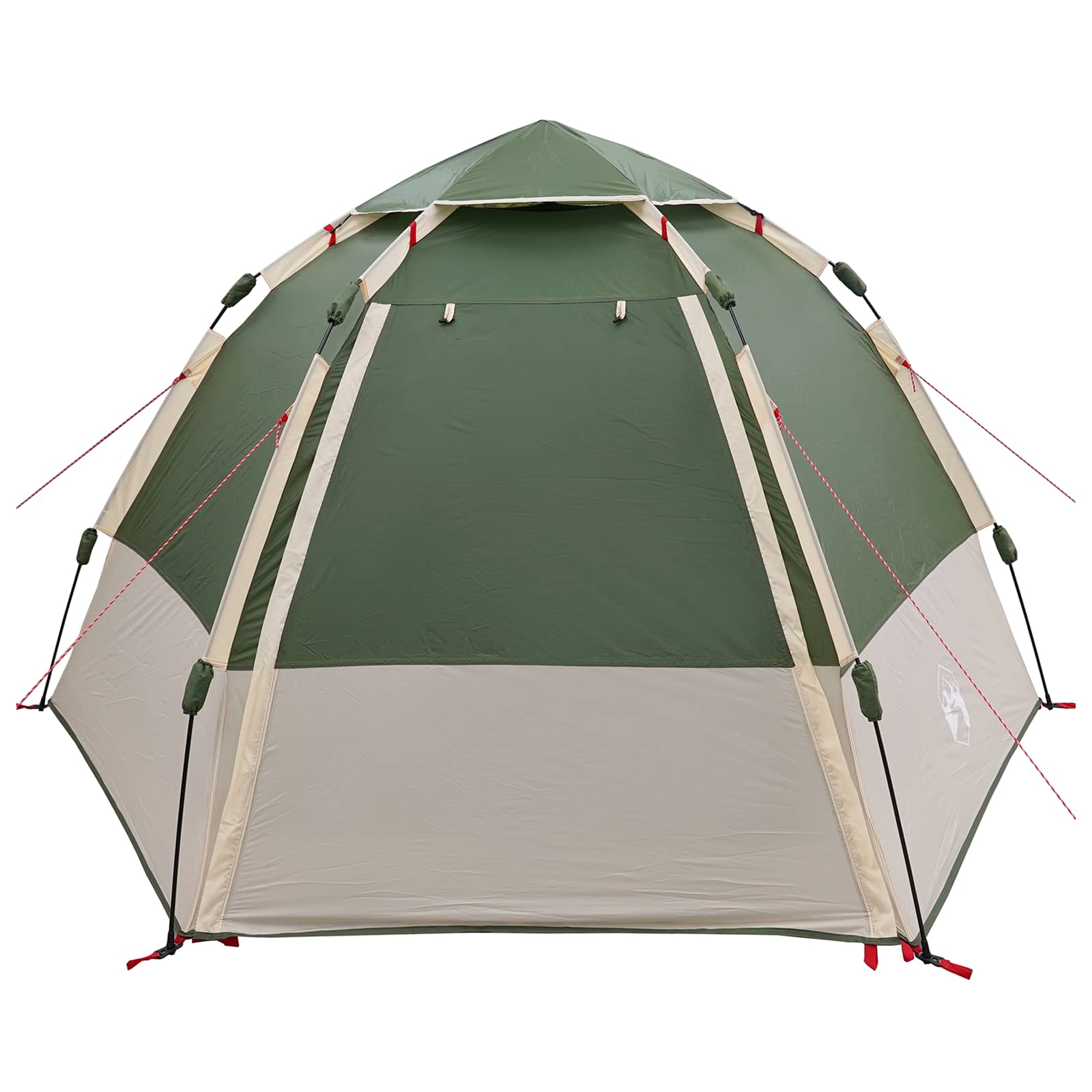 vidaXL Directe Tent met opslag Groen 280 x 280 x 160 cm Staal
