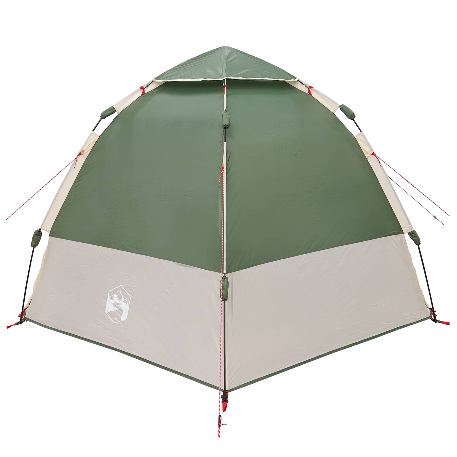 vidaXL Directe Tent met opslag Groen 280 x 280 x 160 cm Staal