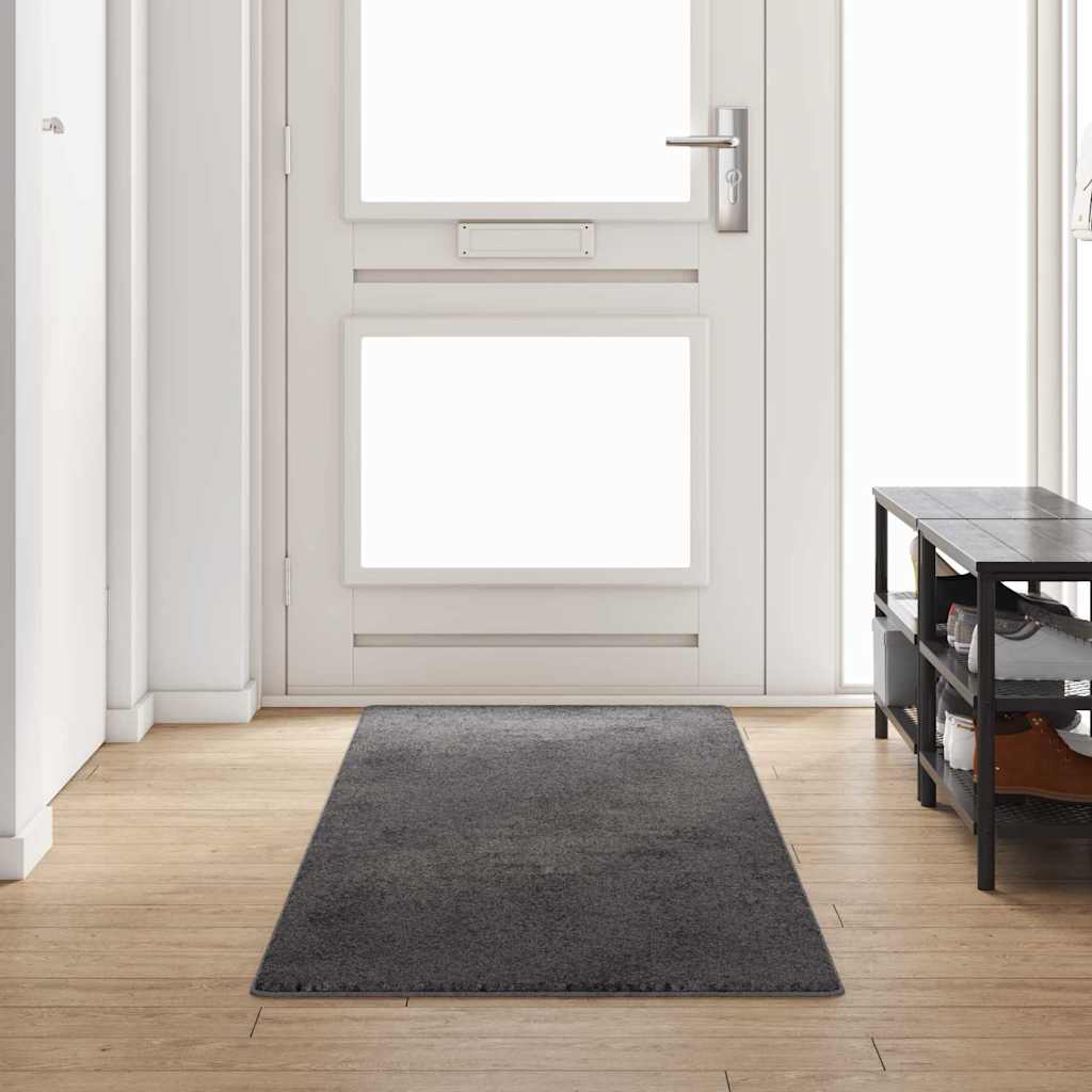 vidaXL Tapijt Loper Grijs 50 x 100 cm 100% Polypropylene Tuft