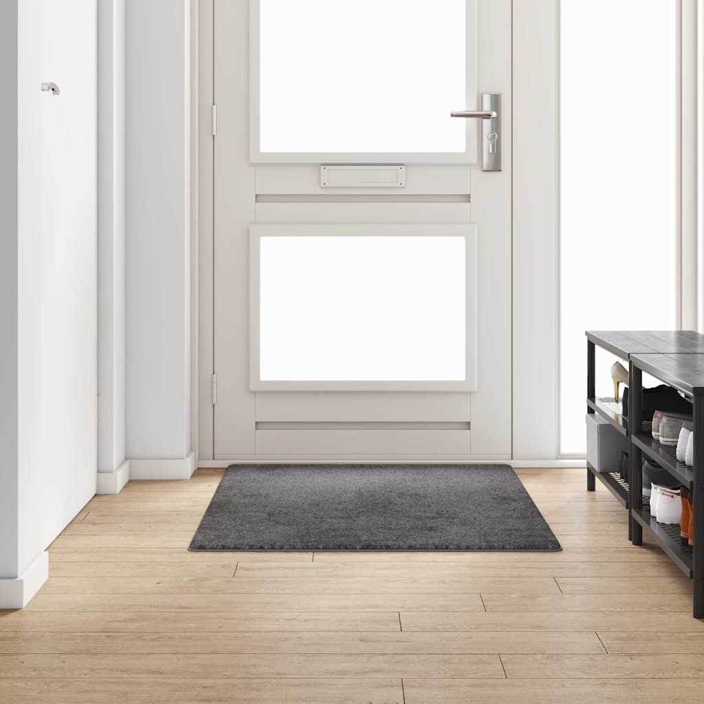 vidaXL Tapijt Loper Grijs 50 x 100 cm 100% Polypropylene Tuft