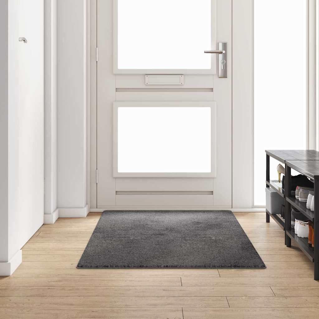 vidaXL Tapijt Loper Grijs 50 x 100 cm 100% Polypropylene Tuft