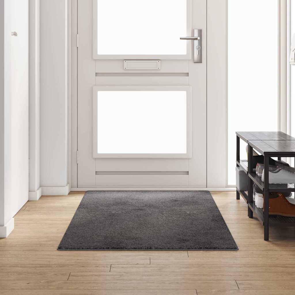 vidaXL Tapijt Loper Grijs 50 x 100 cm 100% Polypropylene Tuft