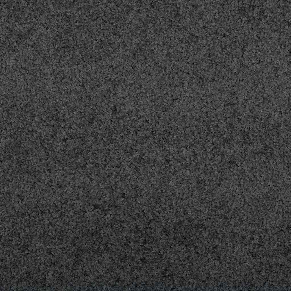 vidaXL Deurmat Antraciet 40 x 60 cm Teddy Stof