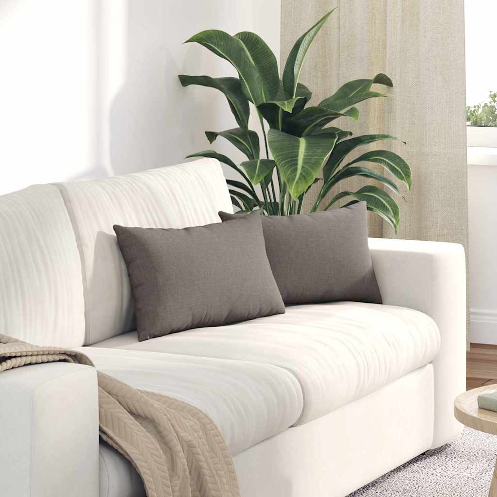 vidaXL Sofa Kussens 2 pcs Lichtgrijs 50 x 30 cm Stof