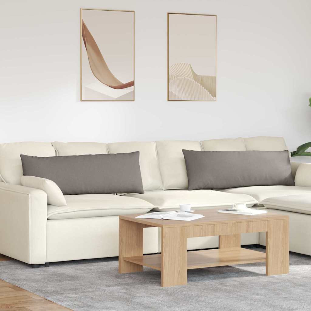 vidaXL Sofa Kussens 2 pcs Lichtgrijs 50 x 30 cm Stof