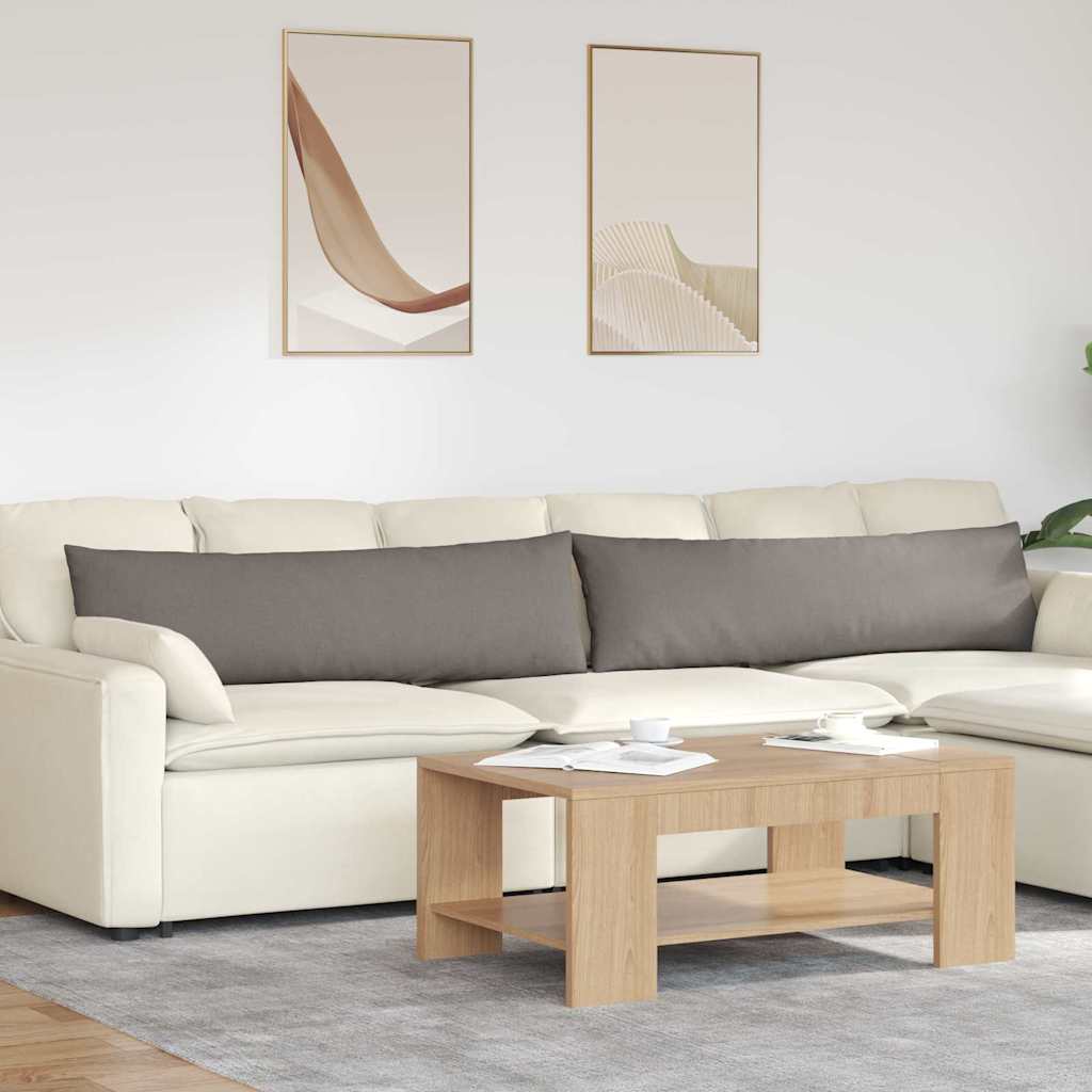 vidaXL Sofa Kussens 2 pcs Lichtgrijs 50 x 30 cm Stof