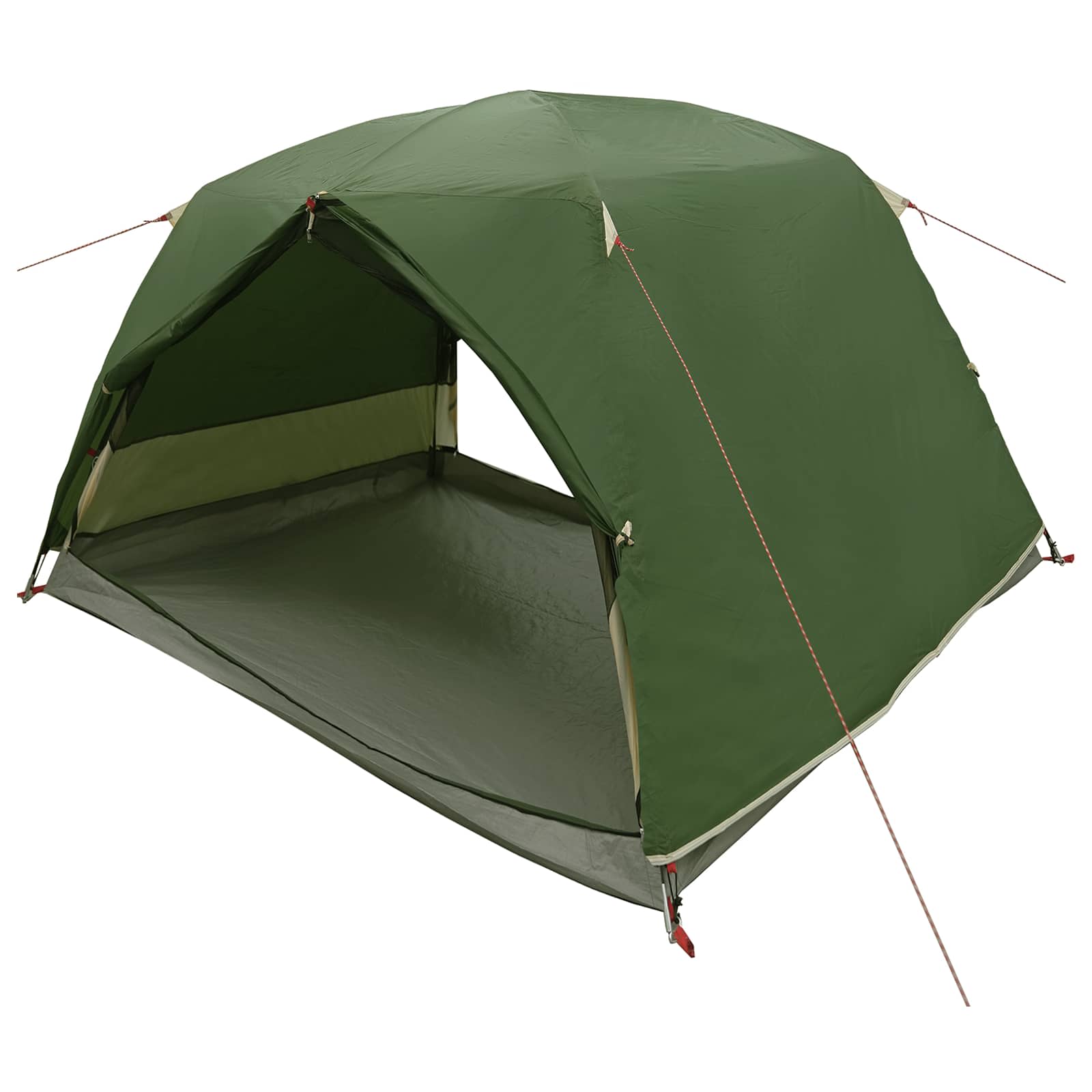 vidaXL Backpacking Tent Groen 2-persoons 185T Polyester met PU Coating