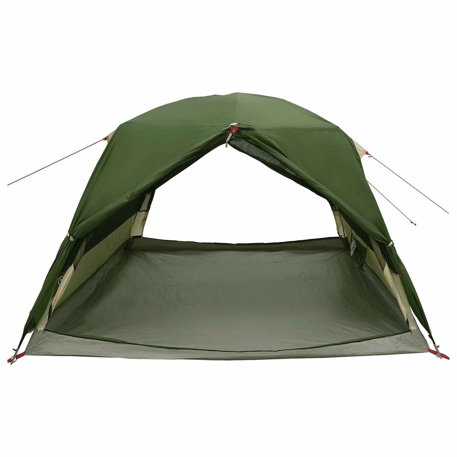 vidaXL Backpacking Tent Groen 2-persoons 185T Polyester met PU Coating
