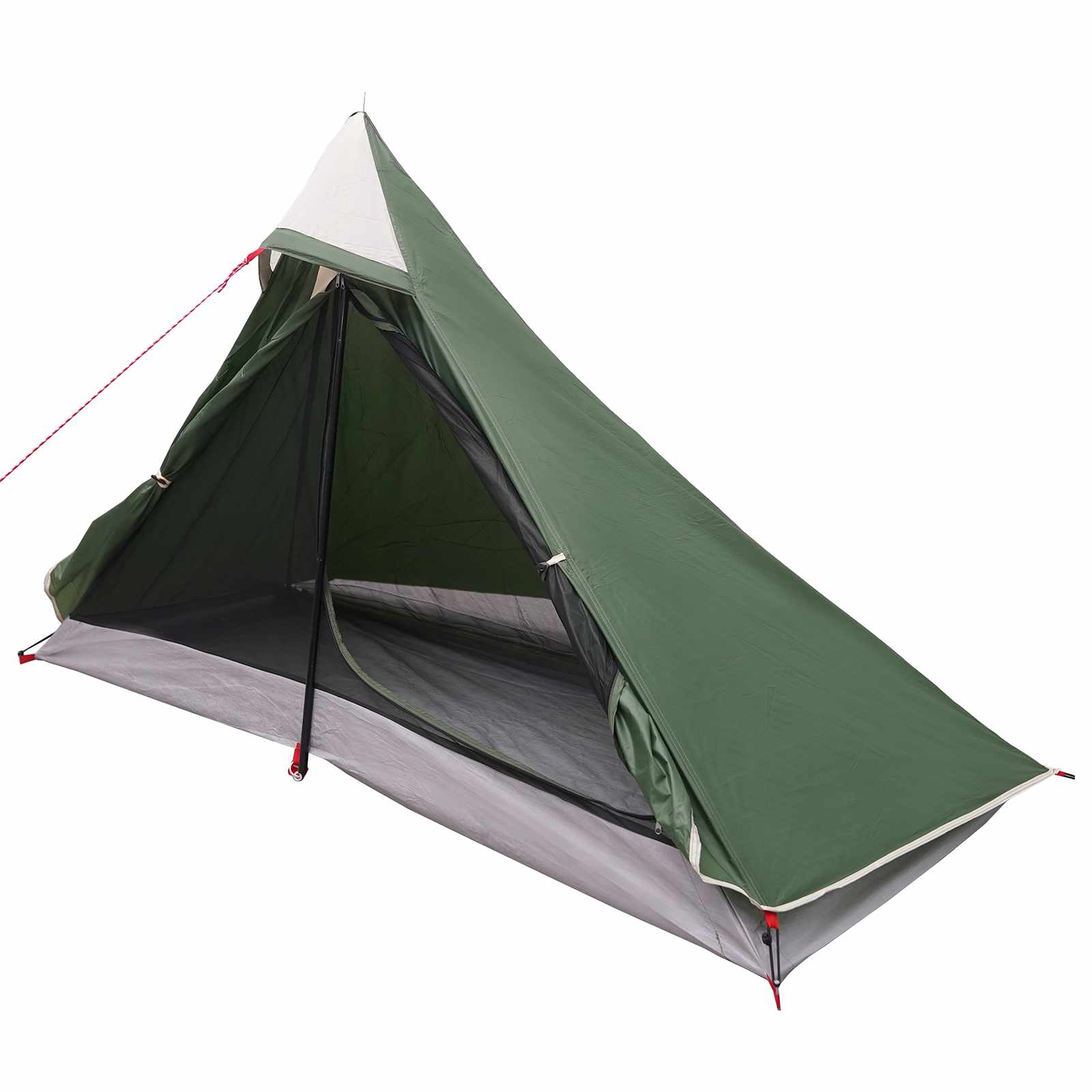 vidaXL Backpacking Tent Groen 222 x 85 x 125 cm