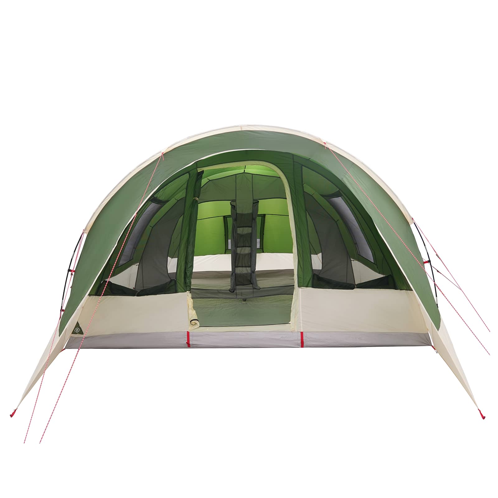 vidaXL Tunneltent Groen 560 x 395 x 212 cm