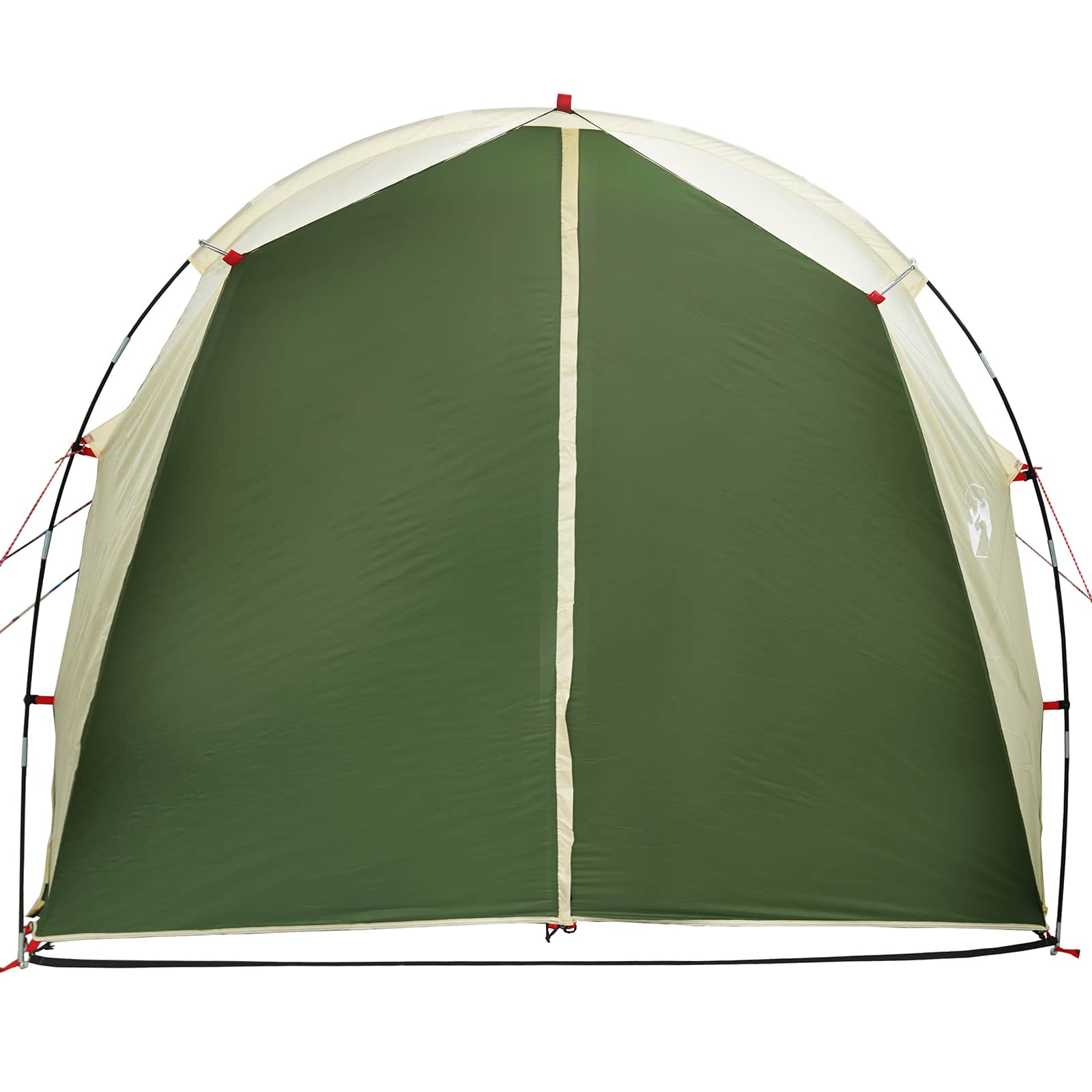 vidaXL Tunneltent Groen 382 x 262 x 214 cm
