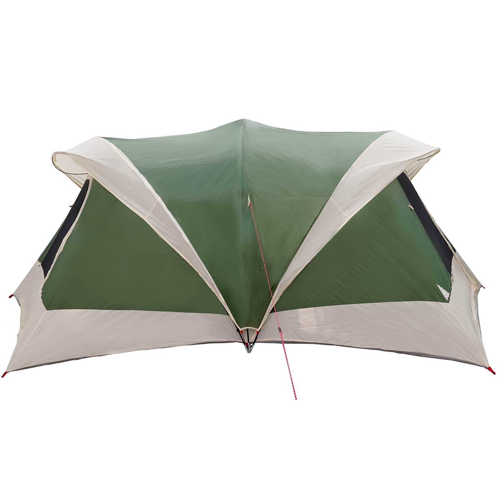 vidaXL Gezinstent Groen 550 x 555 x 208 cm