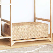 vidaXL Opbergbox Bruin 60 x 38 x 20 cm Waterhyacint