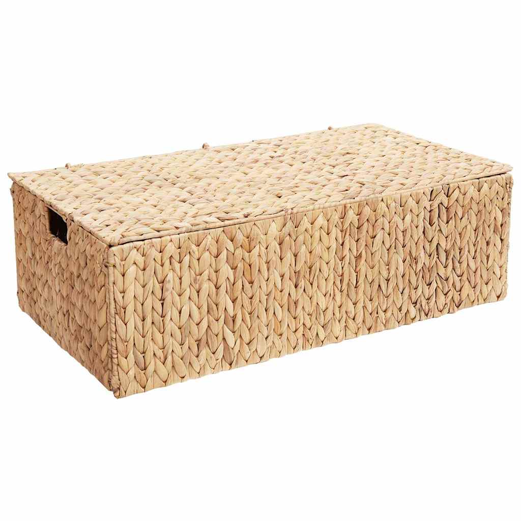 vidaXL Opbergbox Bruin 60 x 38 x 20 cm Waterhyacint