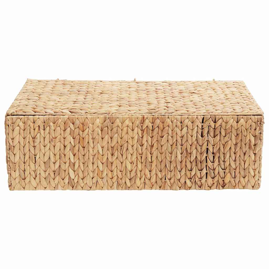 vidaXL Opbergbox Bruin 60 x 38 x 20 cm Waterhyacint