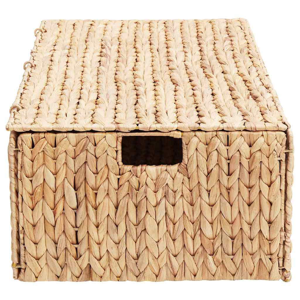 vidaXL Opbergbox Bruin 60 x 38 x 20 cm Waterhyacint