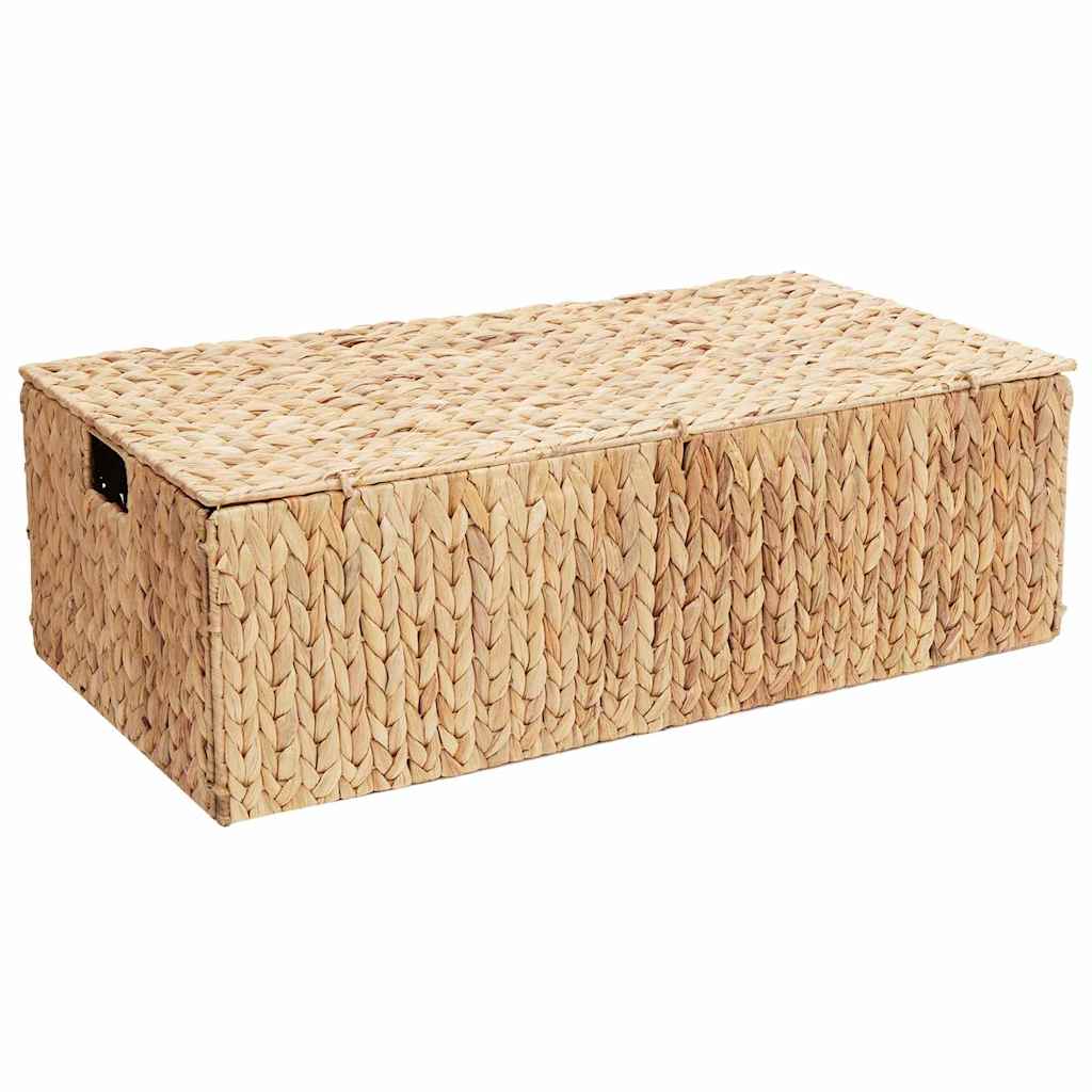 vidaXL Opbergbox Bruin 60 x 38 x 20 cm Waterhyacint