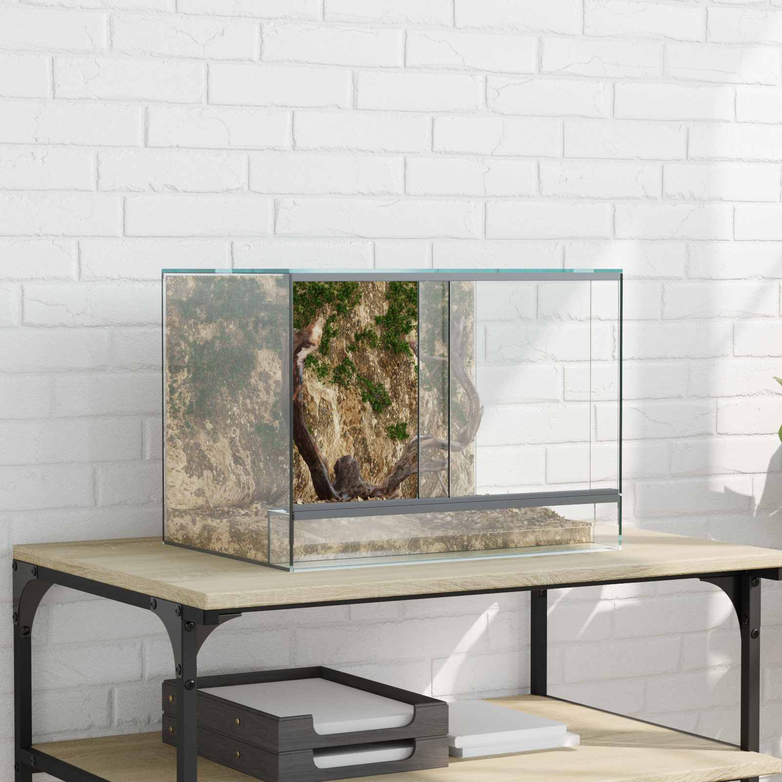 vidaXL Reptielen en Amfibieën Habitaten Wit 30 x 30 x 30 cm Glas