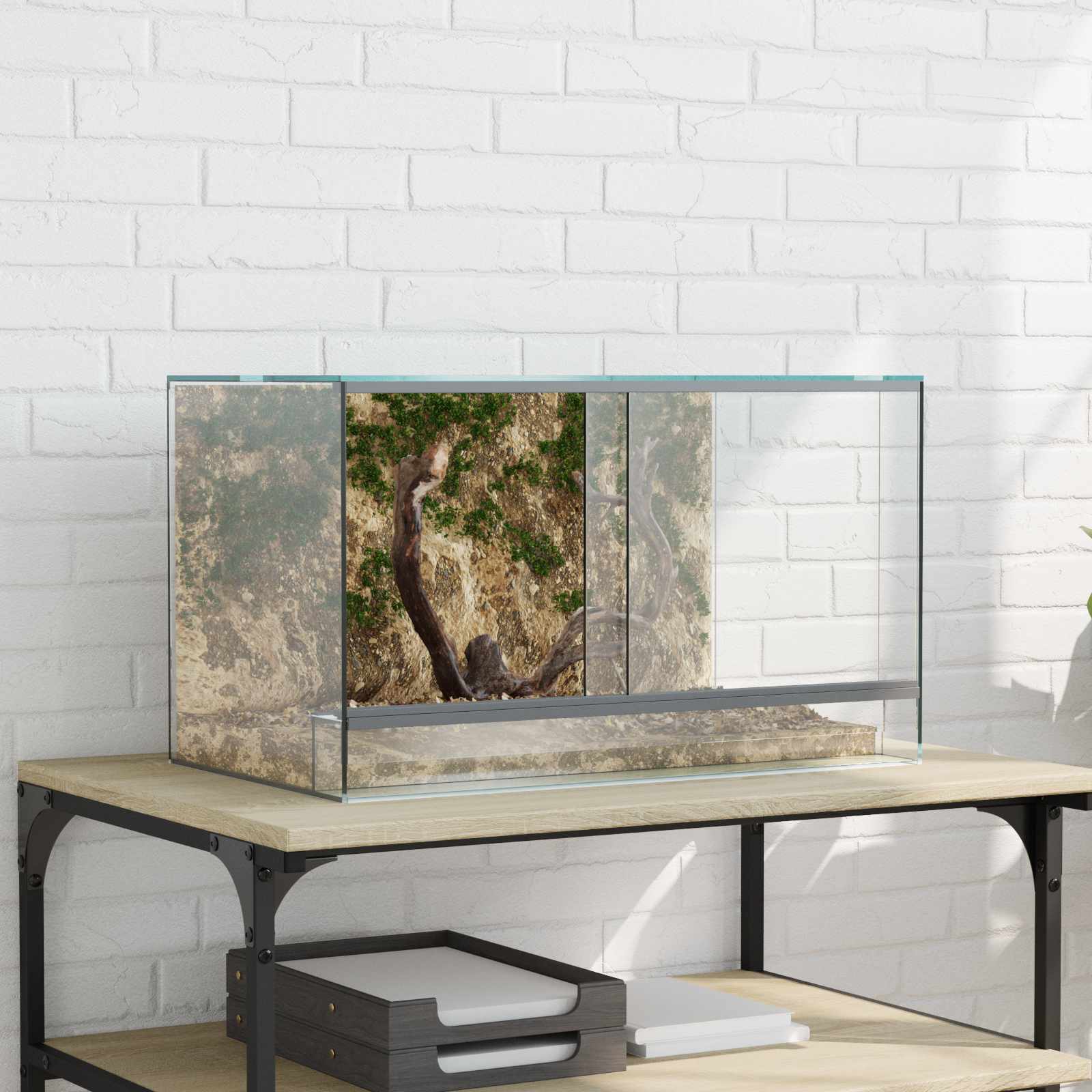 vidaXL Reptielen en Amfibieën Habitaten Wit 30 x 30 x 30 cm Glas