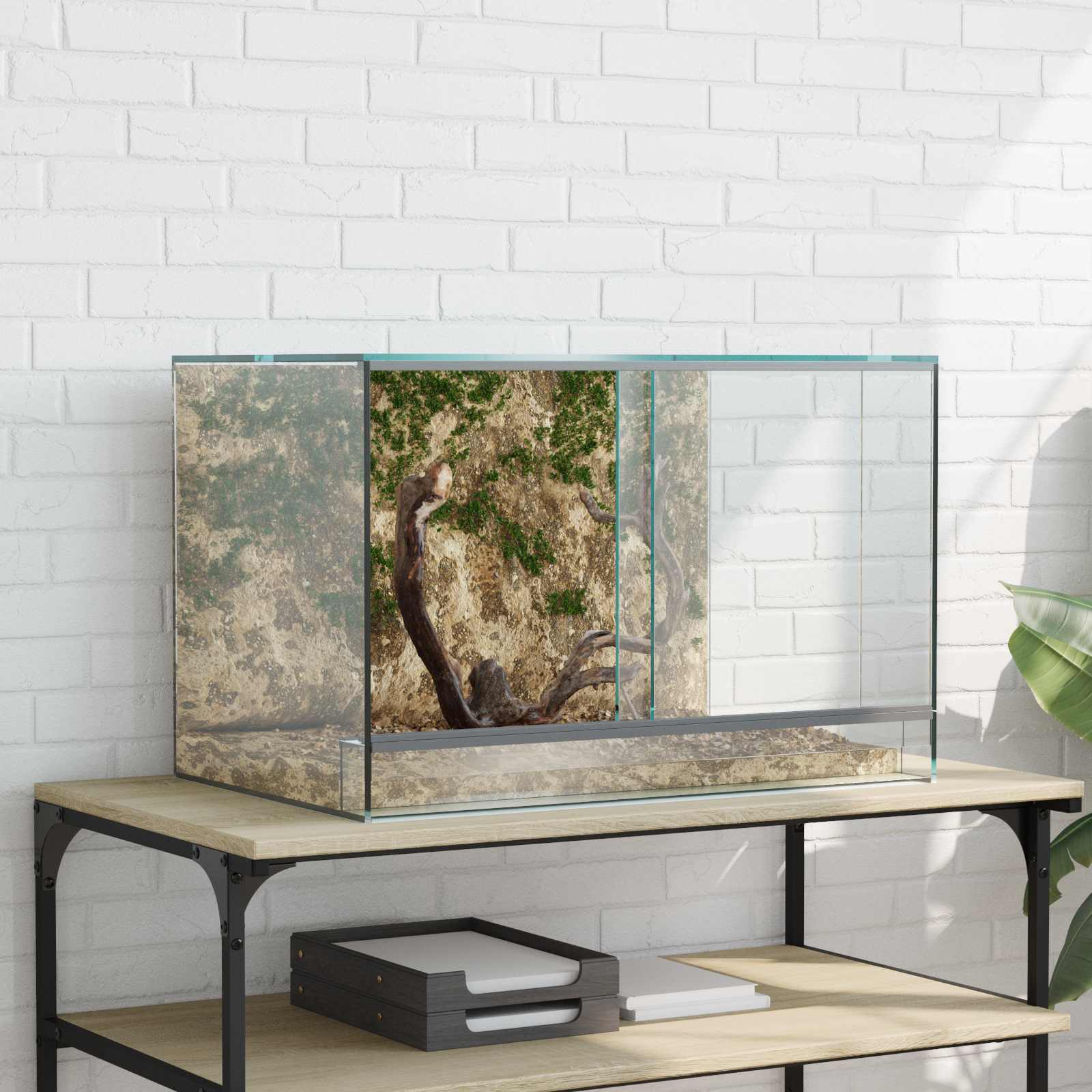 vidaXL Reptielen en Amfibieën Habitaten Wit 30 x 30 x 30 cm Glas