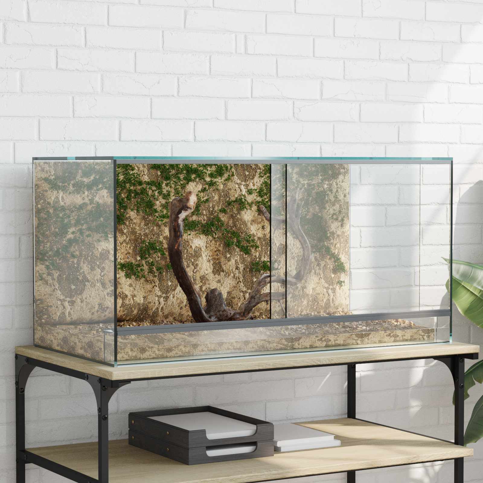 vidaXL Reptielen en Amfibieën Habitaten Wit 30 x 30 x 30 cm Glas