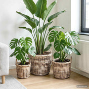 vidaXL Plantenmand met opslag 3 pcs Grijs Kubu Rattan