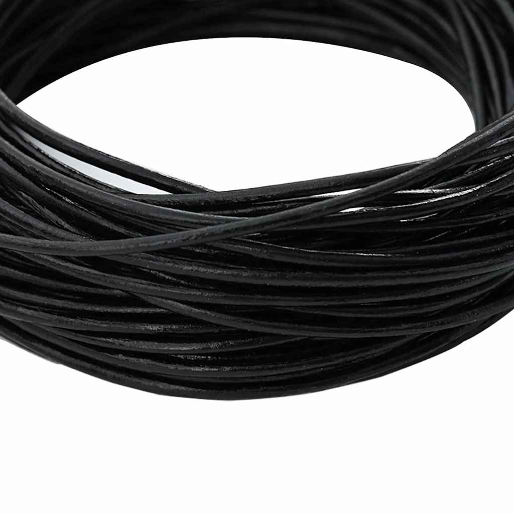 vidaXL Leren Koord Zwart Ø1 mm x 5 m Leer
