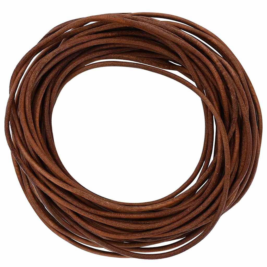 vidaXL Leren Koord Zwart Ø1 mm x 5 m Leer
