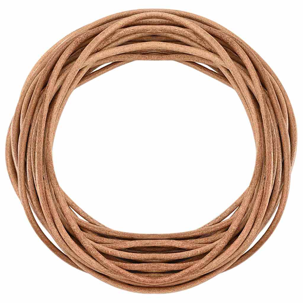 vidaXL Leren Koord Zwart Ø1 mm x 5 m Leer