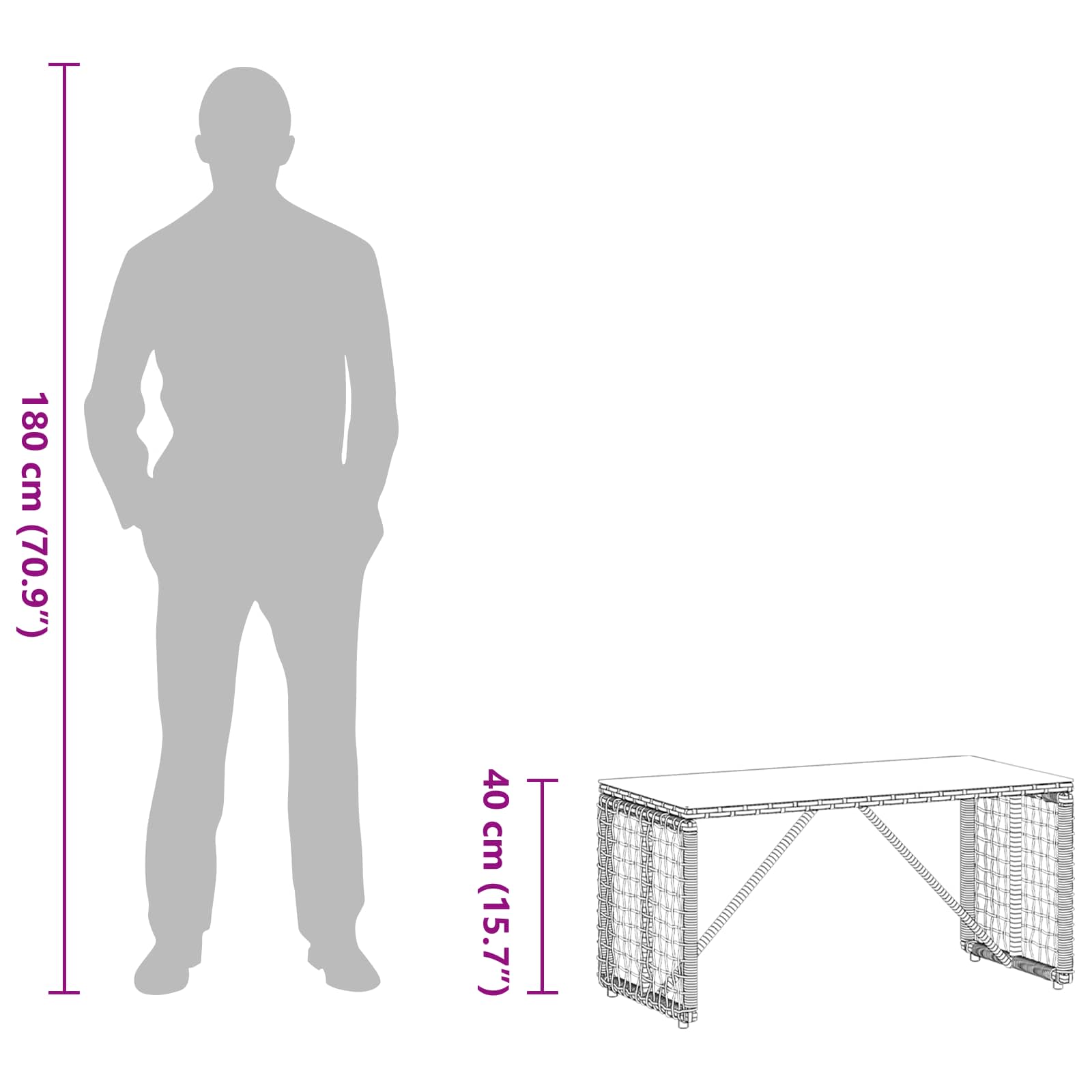 vidaXL Buiten Tafel Zwart 80 x 40 x 40 cm PE Rattan en Glas