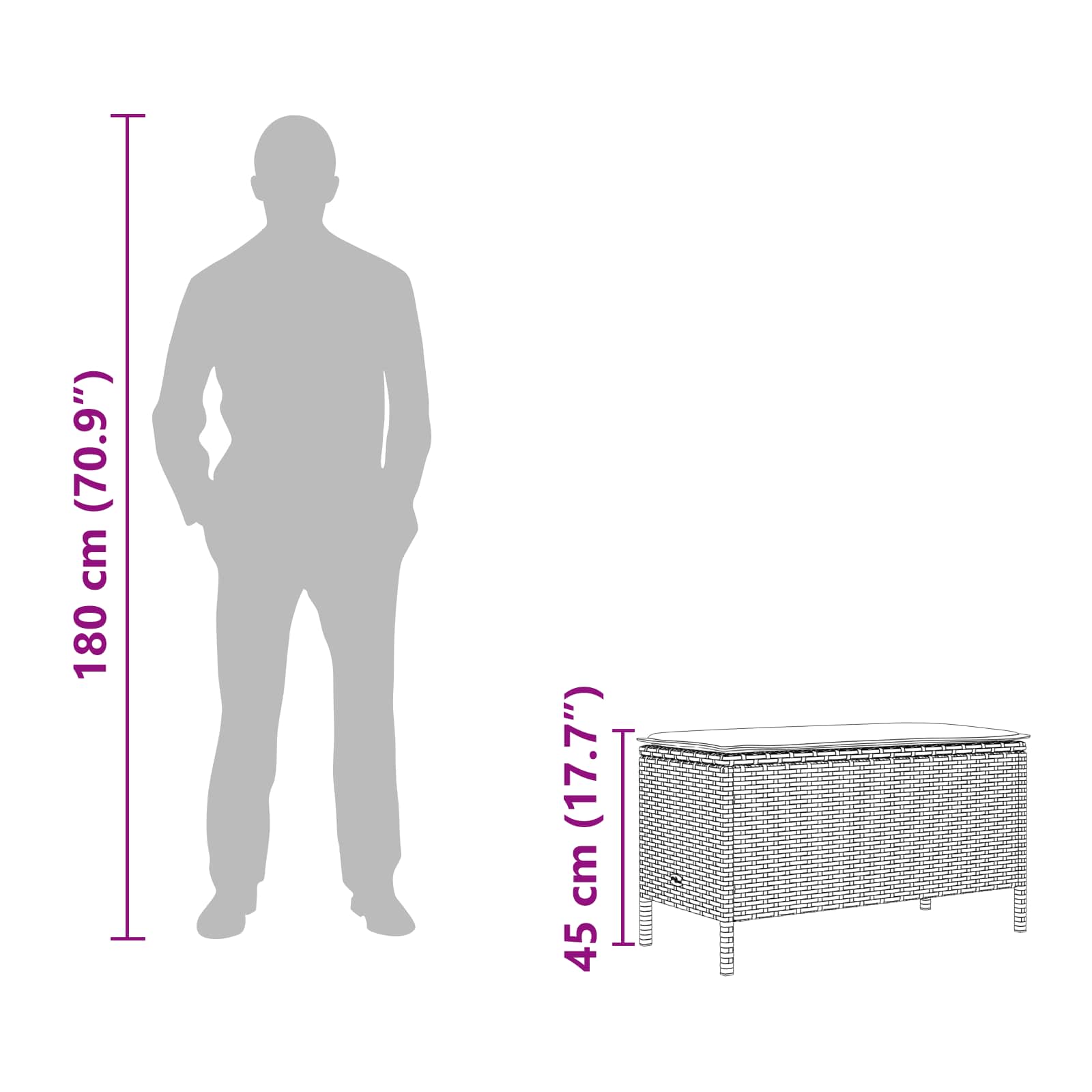 vidaXL Tuinvoetenbank met kussen Zwart 80 x 38 x 45 cm PE Rattan