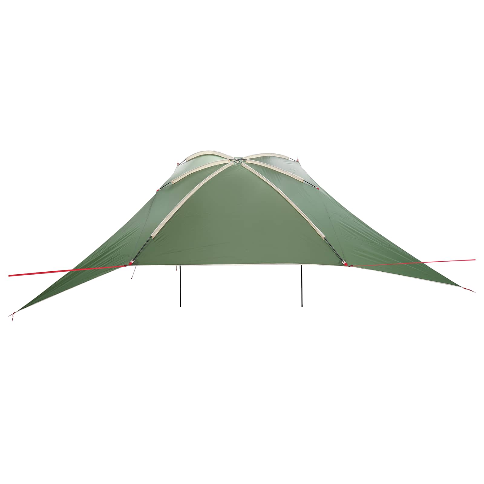 vidaXL Autotent met dak Groen 308 x 215 x 220 cm Polyester en staal
