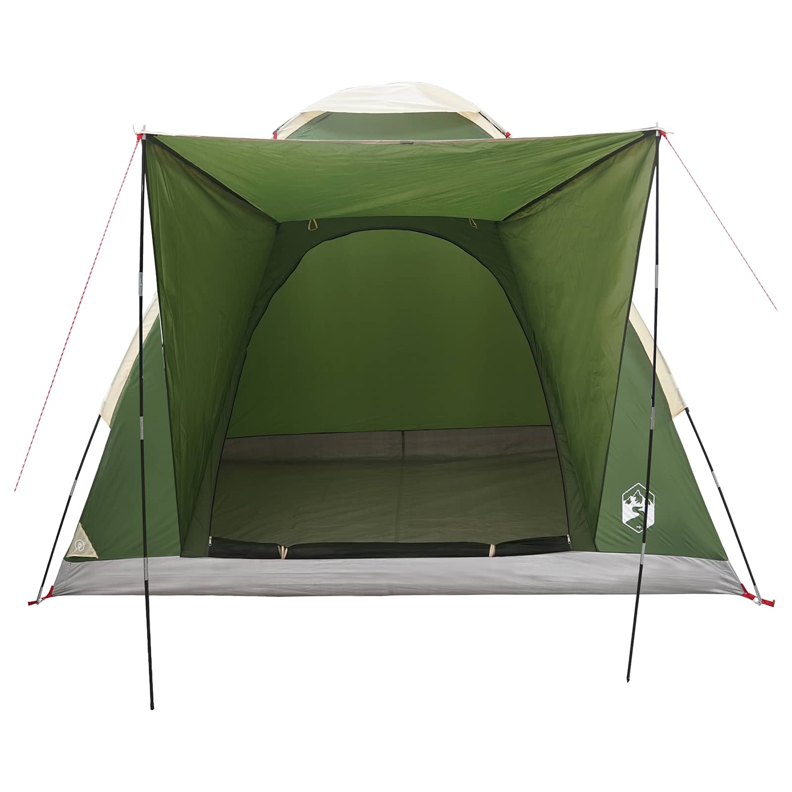 vidaXL Kamperen tent met dak Groen 2-persoons Polyester en staal